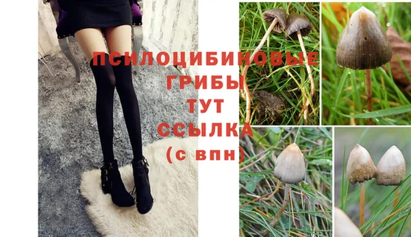 гидропоника Армянск