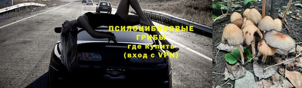 гидропоника Армянск